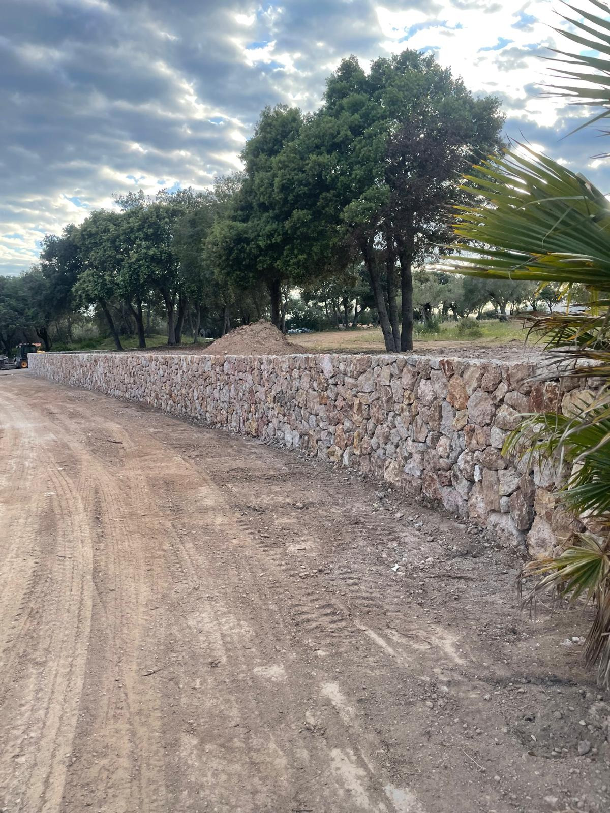 Cerramiento de fincas 1