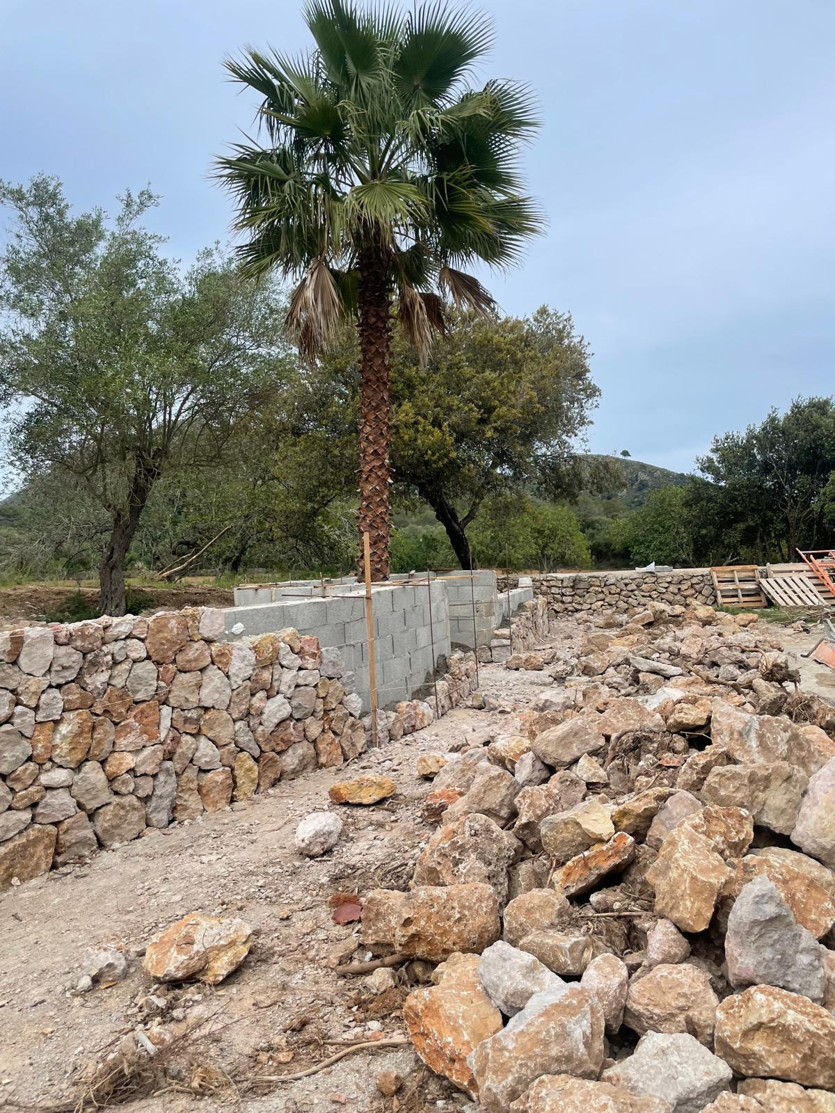 Cerramiento de fincas 2