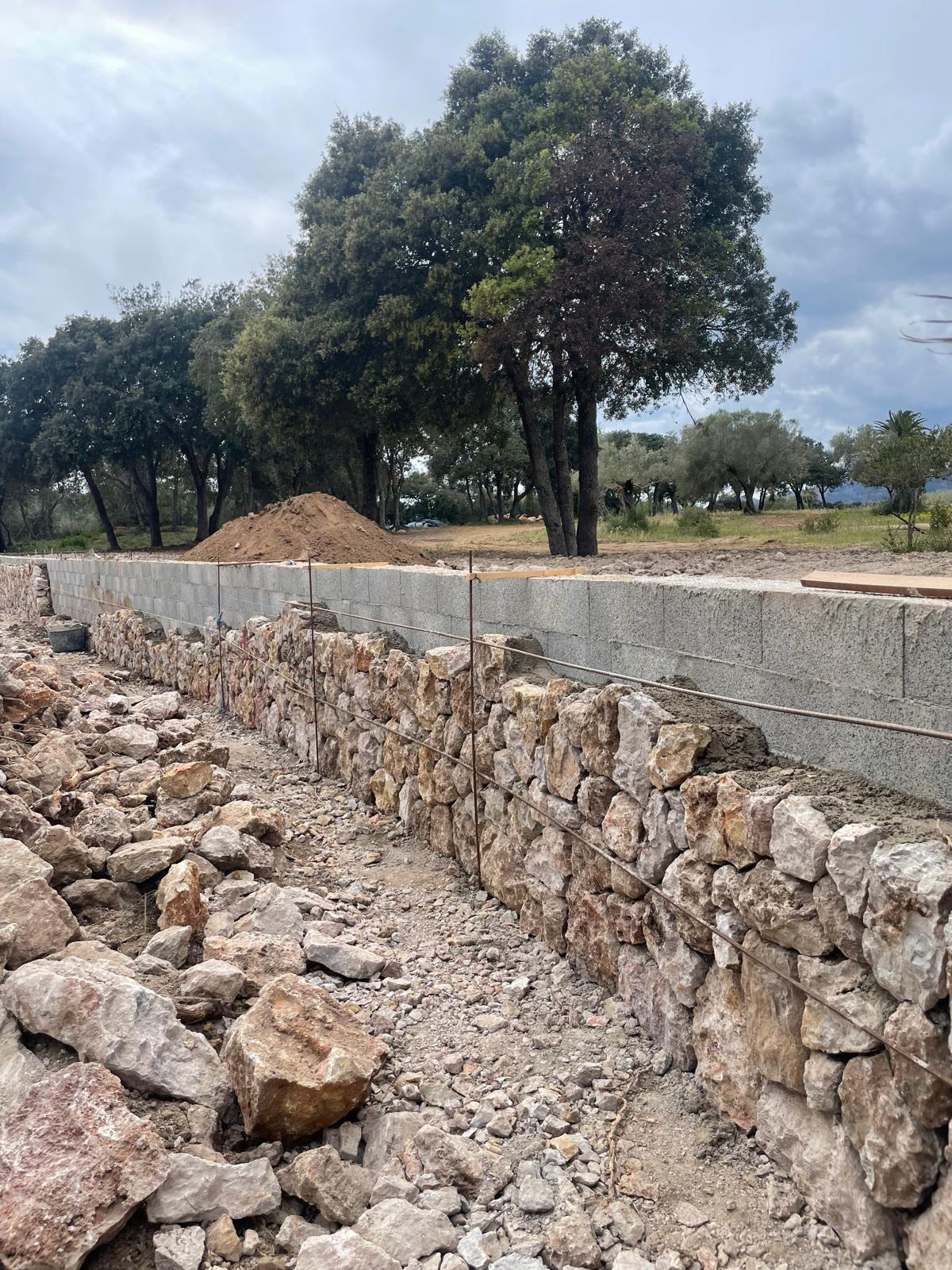 Cerramiento de fincas 3