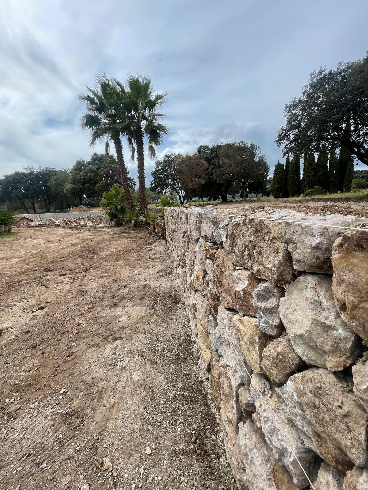 Cerramiento de fincas 4