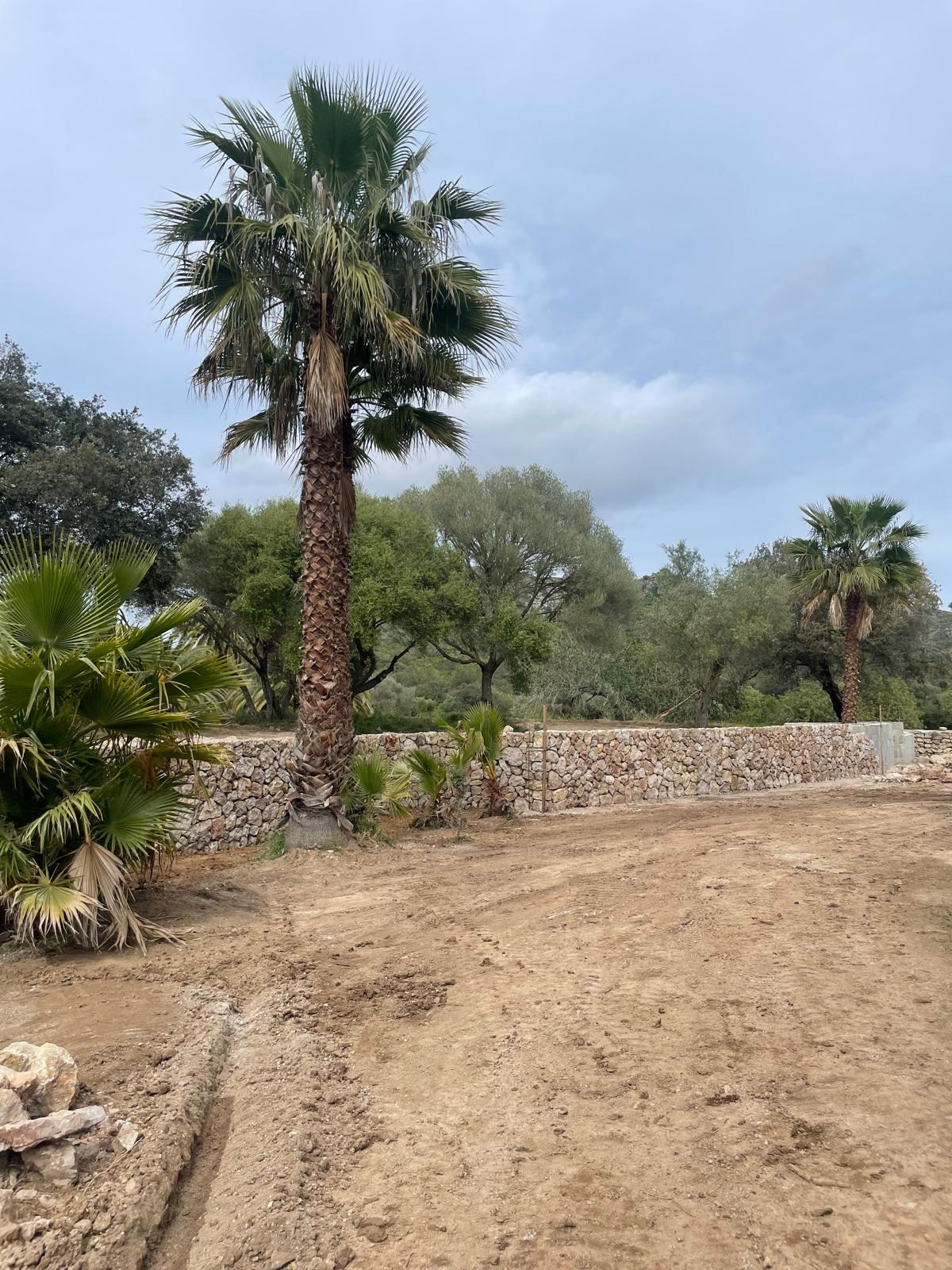 Cerramiento de fincas 5