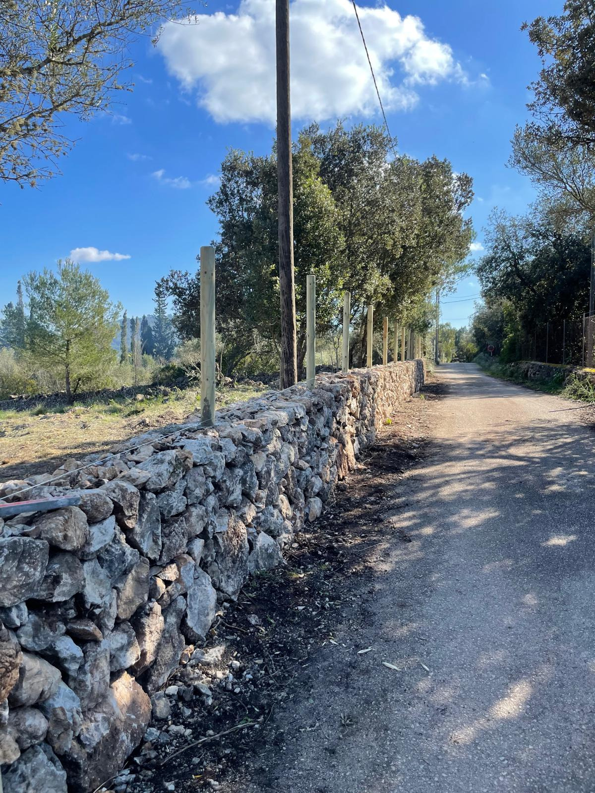 Cerramiento de fincas 7