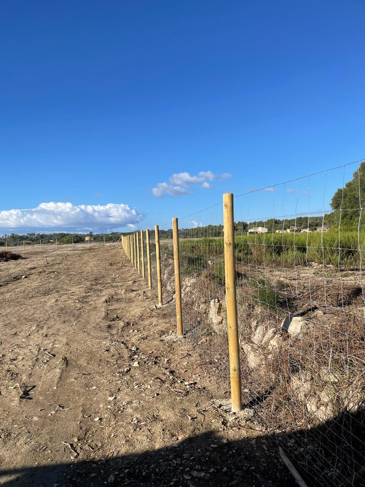 Cerramiento de fincas 9
